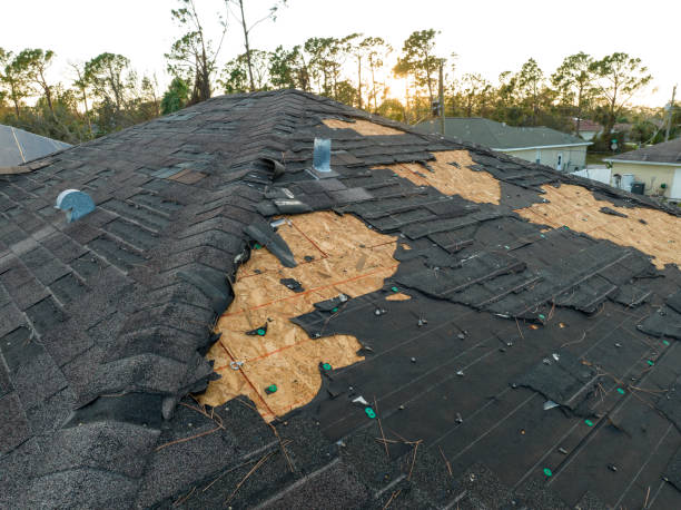 Best Rubber Roofing (EPDM, TPO)  in Newtown, PA