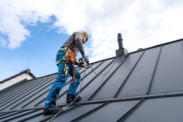 Best Sheet Metal Roofing  in Newtown, PA